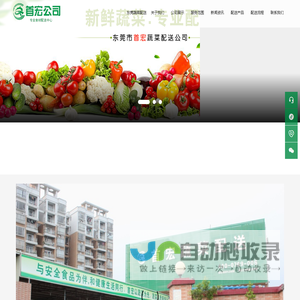 东莞蔬菜配送|东莞蔬菜配送公司-东莞首宏公司